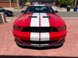shelby front.jpg