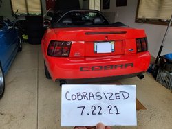 Cobra ID.jpg