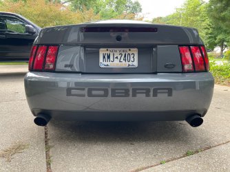Cobra Rear.jpg
