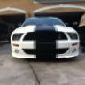 08SHELBY_GT500